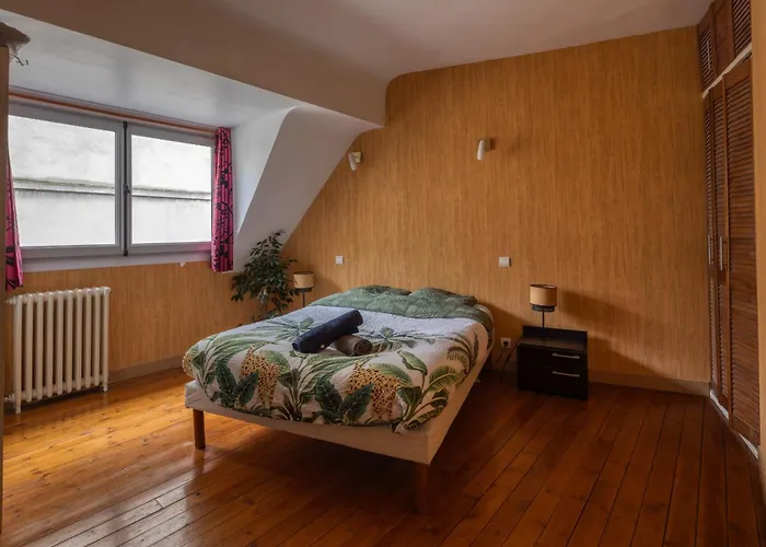 Appartement Spacieux Au Coeur D\'Angers Etage 3 - 6 Personnes
